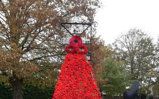 A stunning poppy cascade has been created by members of the Stretham Women's Institute.