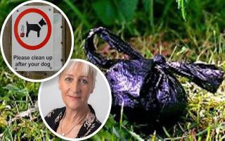 Councillor Julia Huffer said people leaving dog waste behind was a serious issue in East Cambridgeshire.